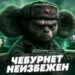 «ЧЕБУРНЕТ» НАСТУПАЕТ