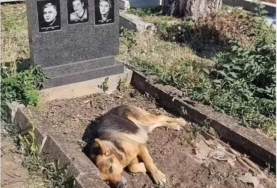 ПРЕДАННОСТЬ