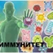 КАК ПОДДЕРЖАТЬ ИММУНИТЕТ
