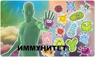 КАК ПОДДЕРЖАТЬ ИММУНИТЕТ