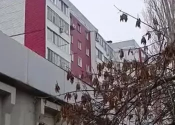 СТРЕЛЬБА ИЗ ОКНА
