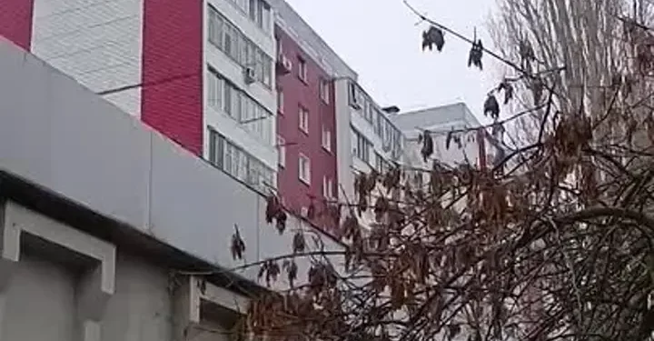 СТРЕЛЬБА ИЗ ОКНА