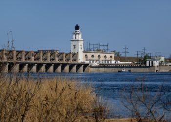 ВЫПУСТИЛИ МАЛЬКА В ДОН