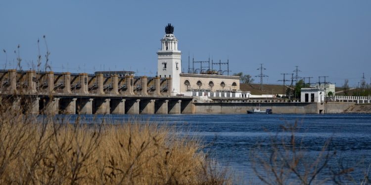 ВЫПУСТИЛИ МАЛЬКА В ДОН