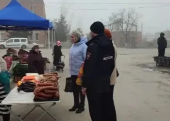 МЯСО БЕЗ ДОКУМЕНТОВ