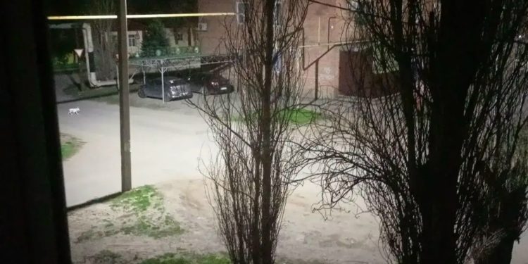ДЕПУТАТ ПОБЛАГОДАРИЛА