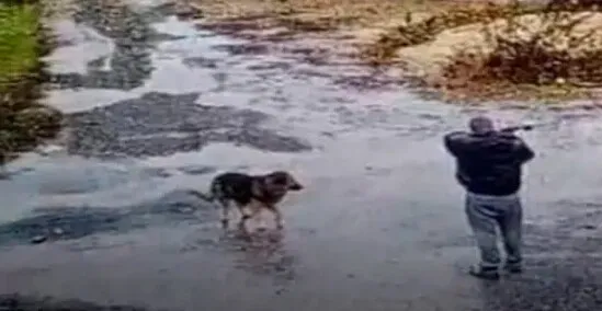 ОТКРЫЛ СТРЕЛЬБУ В ЦИМЛЯНСКЕ