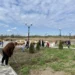ОТЛИЧНО ПОТРУДИЛИСЬ СТАНИЧНИКИ