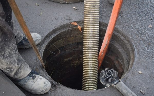 СБАГРИЛИ В ОБЛАСТЬ