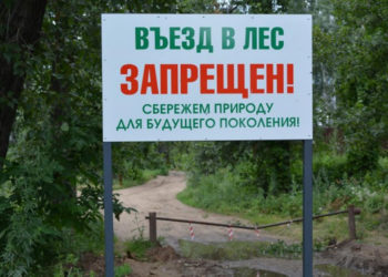 В ЛЕСАХ ВВЕДЁН РЕЖИМ