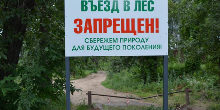 В ЛЕСАХ ВВЕДЁН РЕЖИМ