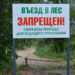 В ЛЕСАХ ВВЕДЁН РЕЖИМ