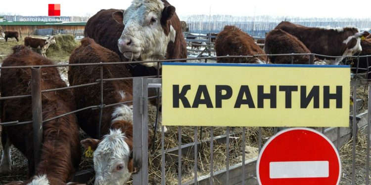 ОТМЕНЁН КАРАНТИН