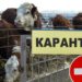 ОТМЕНЁН КАРАНТИН
