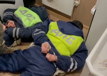 ЧИСТКА В ДОНСКОМ ГИБДД