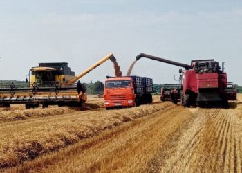 ФЕРМЕРЫ В ТУПИКЕ