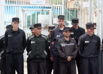 ЗАКЛЮЧЁННЫХ ПРОСТИМУЛИРУЮТ