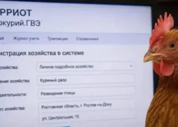 КУР ПЕРЕСЧИТАЛИ