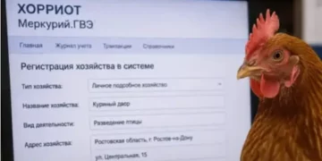 КУР ПЕРЕСЧИТАЛИ